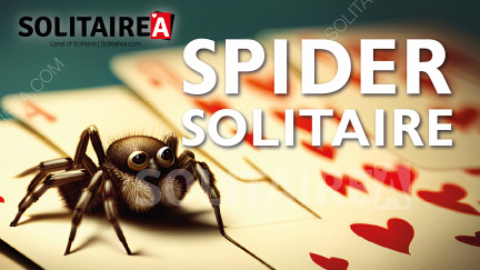 Gioca a Spider Solitario e sfida la mente mentre ti rilassi